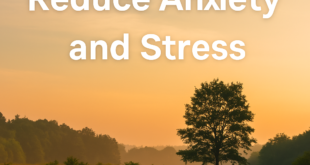 Natural Ways to Reduce Anxiety and Stress